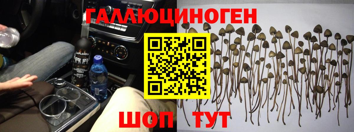 Усть-Джегута  Галлюциногенные грибы мицелий  Вход с VPN 
