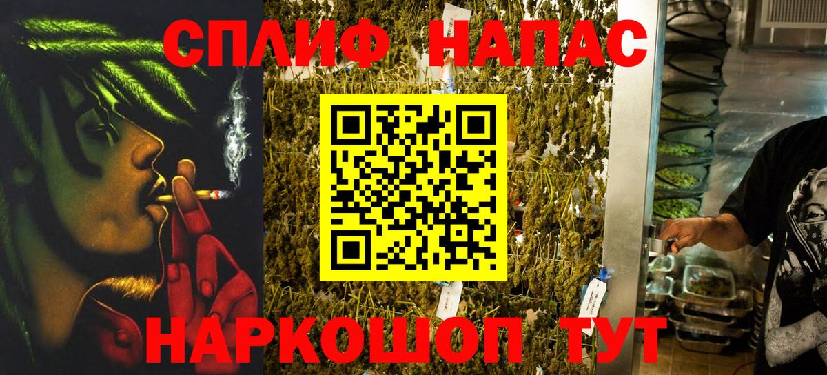 Каннабис план Усть-Джегута